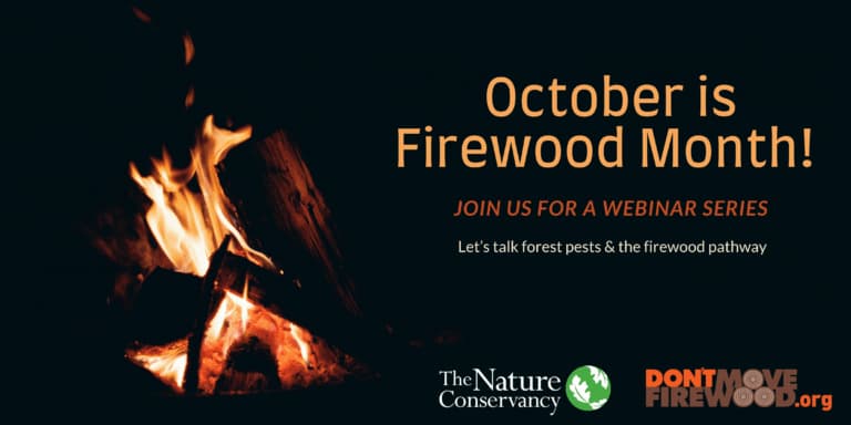 October is firewood month! Join us for a webinar series. Lets talk forest pests and the firewood pathway.