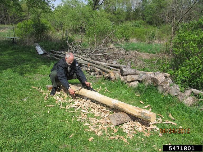 A man shaving a log