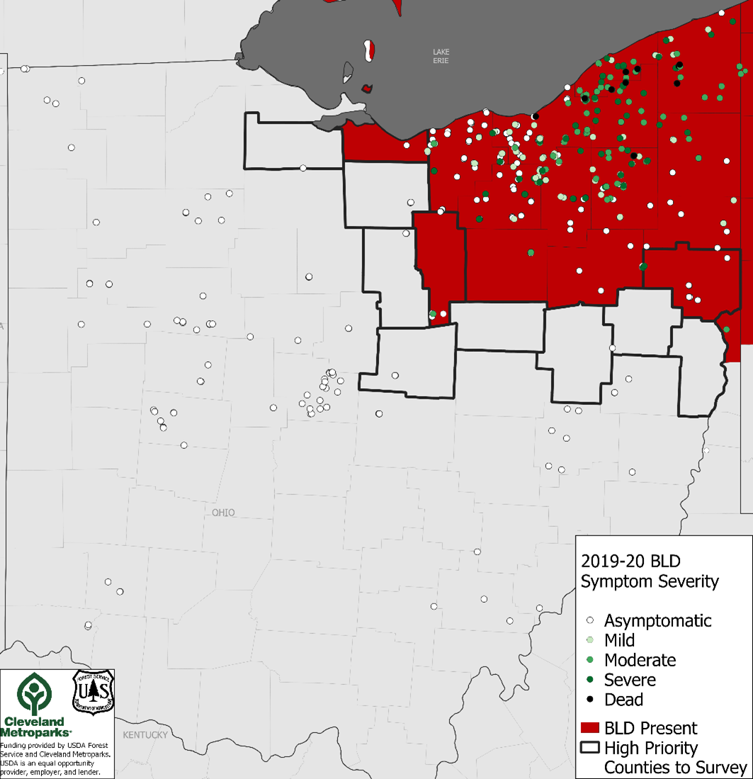 Map containing survey sites from 2019-2020 and their associated beech leaf disease (BLD) severity, as well as currently known counties with BLD and high priority counties that need more surveys conducted.